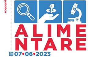 Il Food Policy Hub celebra la Giornata Mondiale della Sicurezza Alimentare